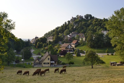 France, Haut-Rhin (68), Sundgau, Ferrette dominé par son chateau
