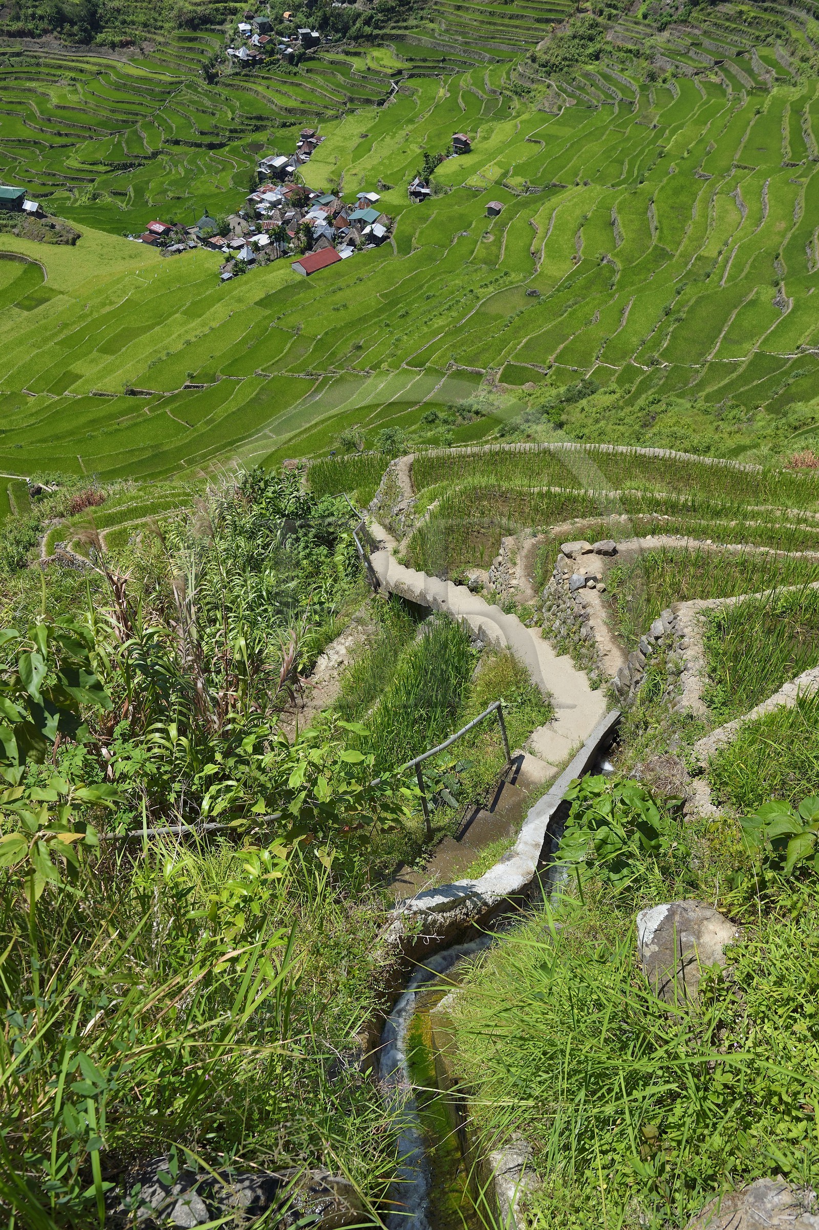 Philippines, province d'Ifugao, escalier du sentier qui serpente dans les rizières en terrasses de Banaue autour du village de Batad, classées Patrimoine Mondial de l'UNESCO