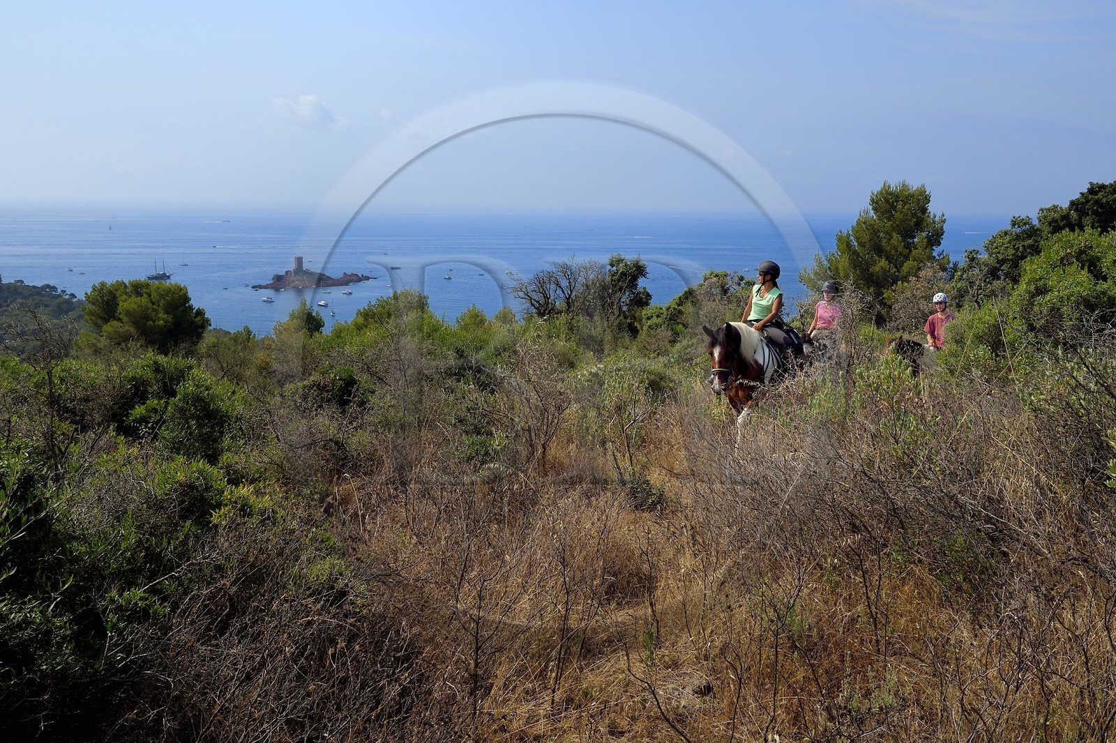 France, Var (83), Agay commune de Saint-Raphaël, cavaliers en randonnée dans le massif de l'Estérel et l'Ile d'Or au large du cap du Dramont en arrière plan