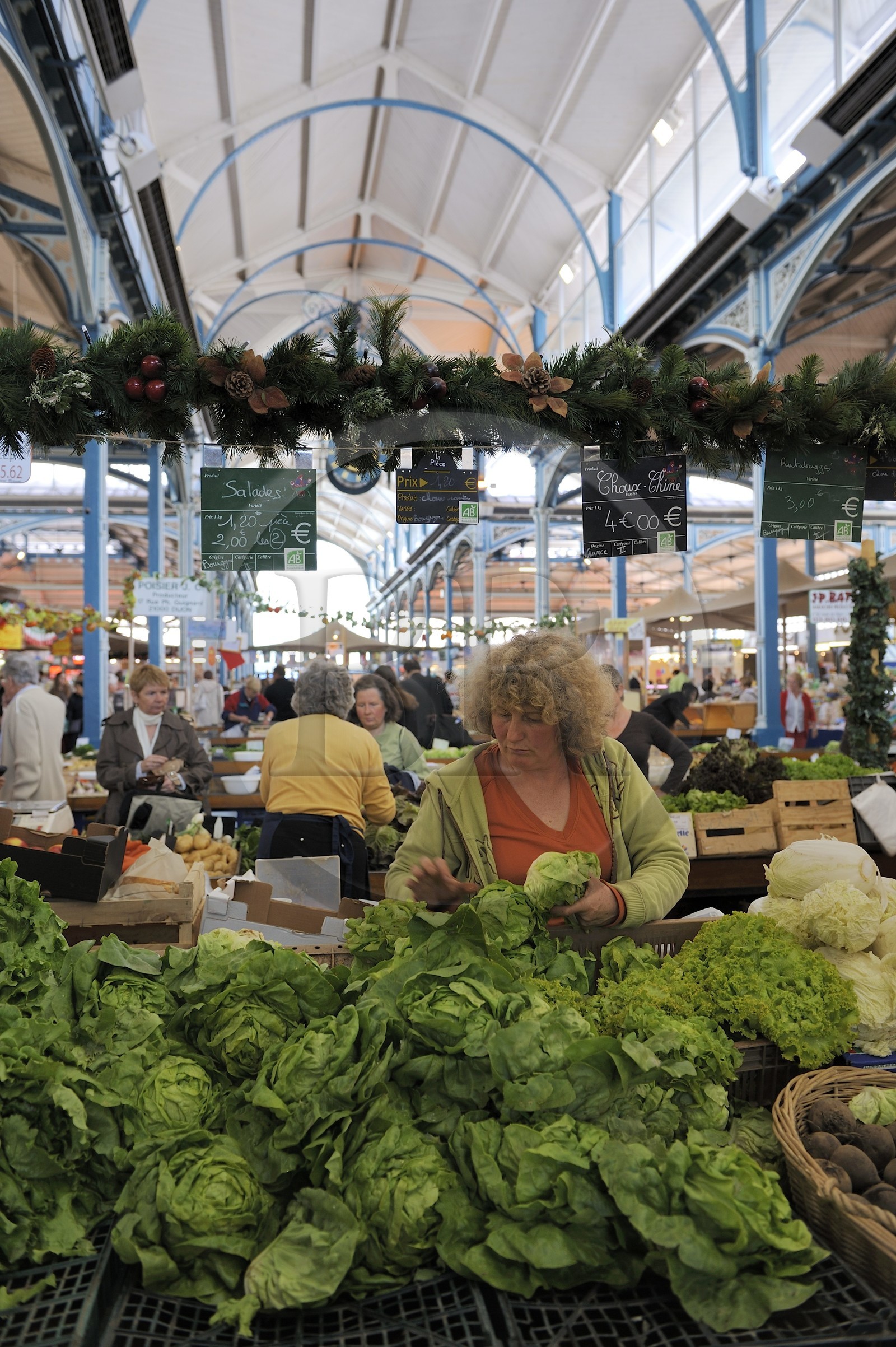 France, Côte d'Or (21), Dijon, les Halles