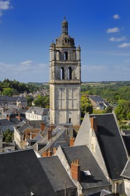 France, Indre et Loire, Loches, the Saint Antoine tower