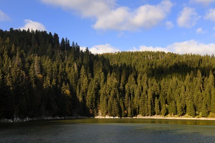 France, Haut-Rhin (68), en contrebas de la route des Crêtes, le lac Vert ou lac de Soultzeren au pied du massif du Tanet