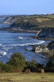 France, Pyrenees Atlantiques, Basque Country coast, the Abbadia estate managed by the Conservatoire du littoral and the Basque Corniche
