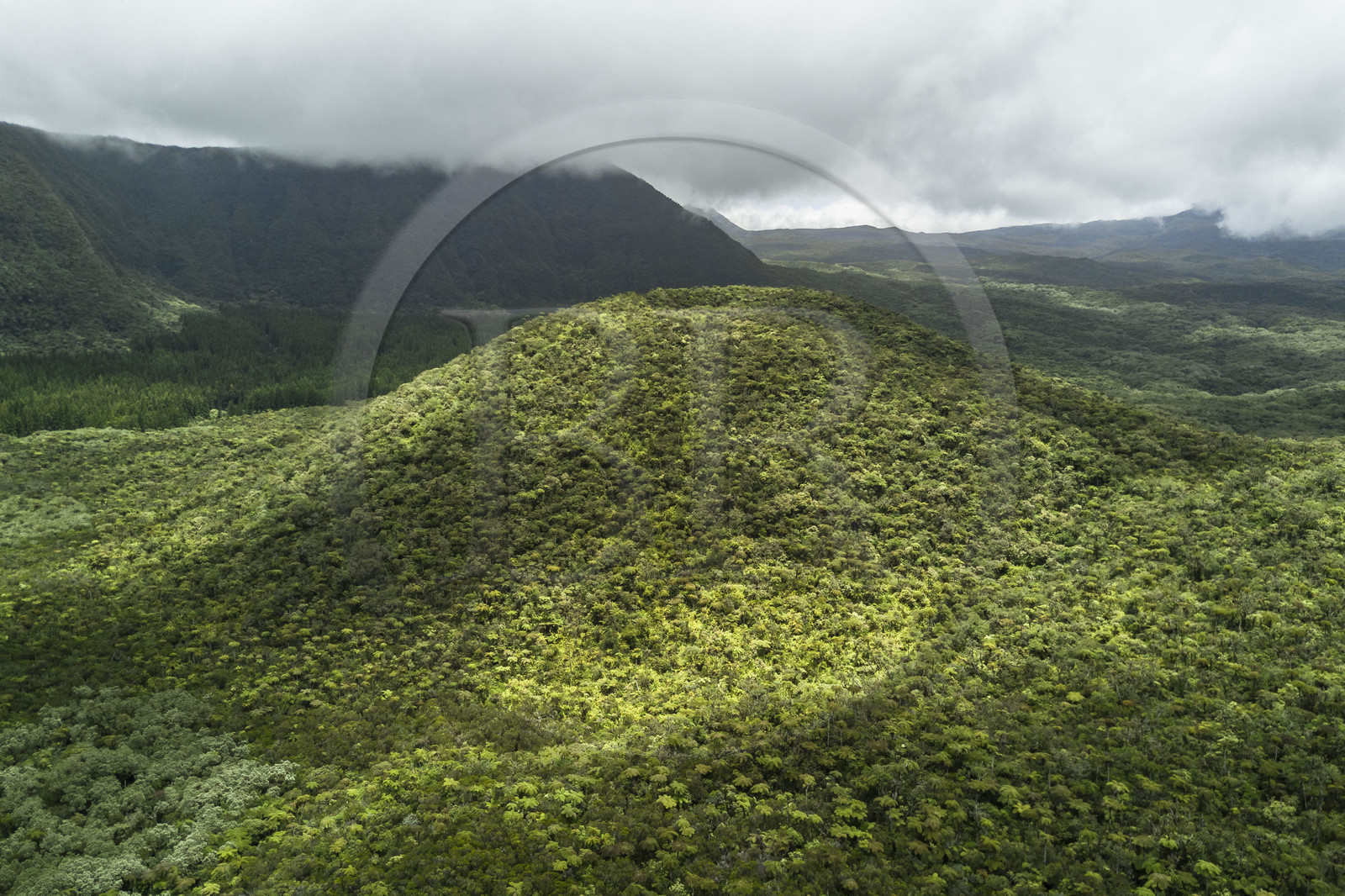 France, Ile de la Reunion, Parc National de la Réunion classé Patrimoine Mondial de l'UNESCO, La Plaine des Palmistes, forêt de Bébour, le Piton Bébour (vue aérienne)