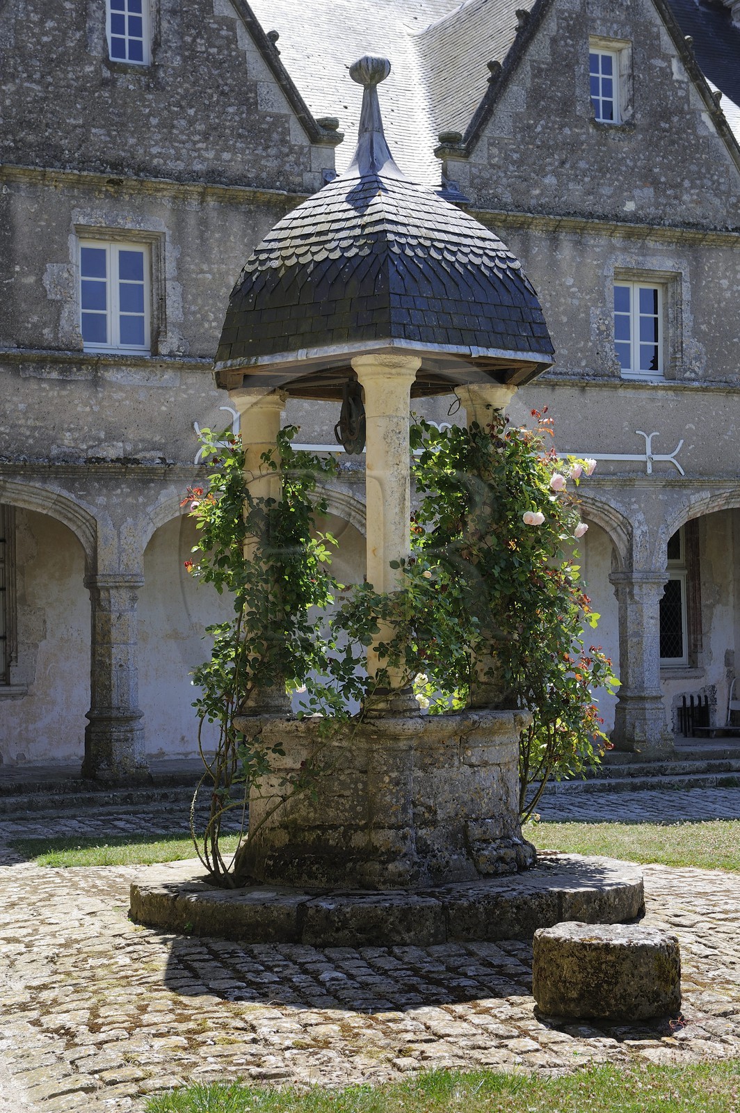 France, Loir-et-Cher (41), château de Talcy, puit au rosier qui a pu inspirer Ronsard