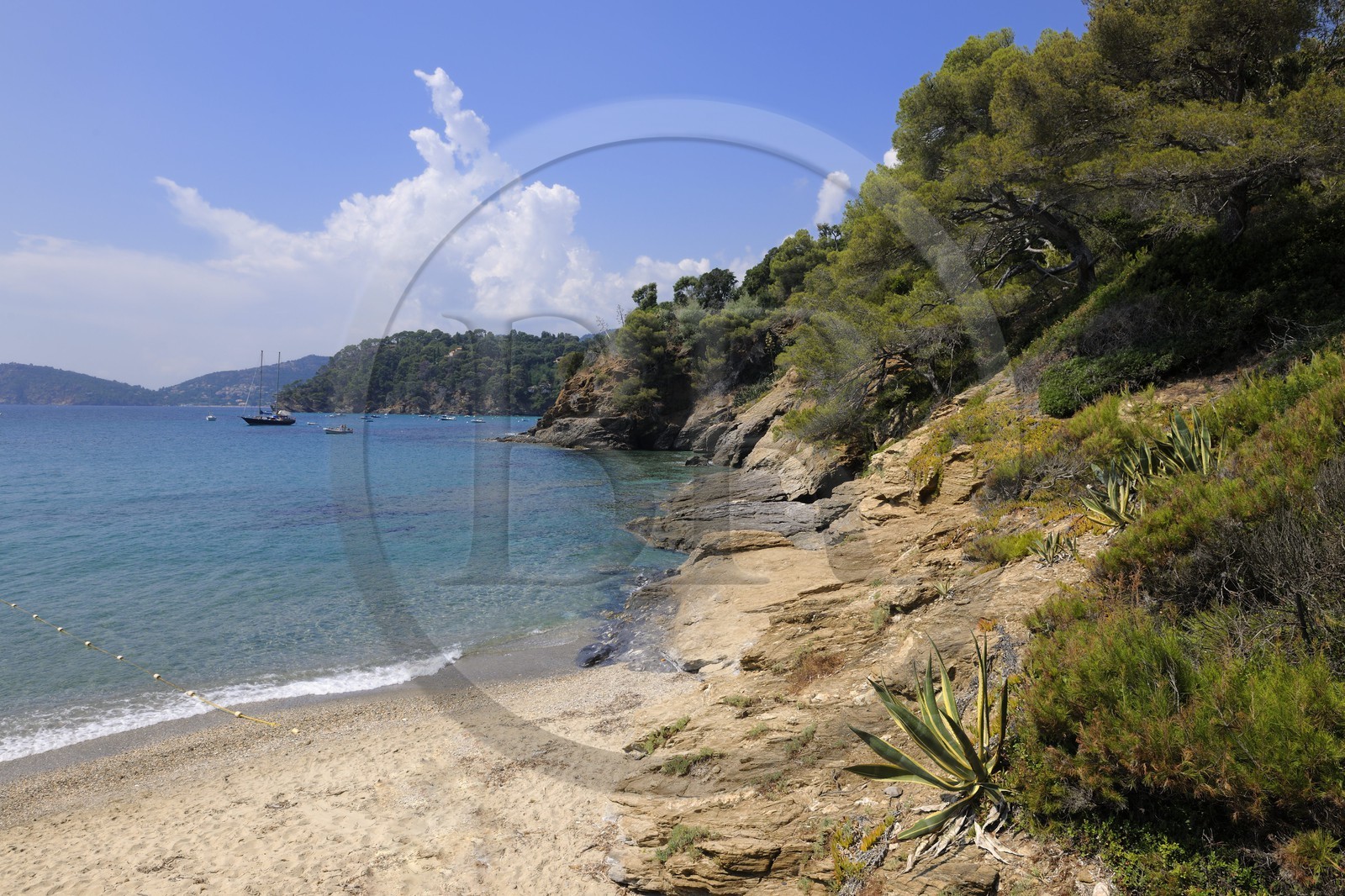 France, Var (83), Le Rayol-Canadel-sur-Mer, Domaine du Rayol, Jardin des Méditerranées, propriété du Conservatoire du Littoral, mention obligatoire, plage du départ du jardin marin