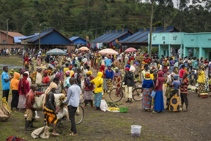 Rwanda, Province du Nord, District de Musanze (Ruhengeri), jour de marché à Muryabazira sur la Route Nationale 4 entre Kigali et Ruhengori, transport de gros sacs sur une bicyclette, les bicyclettes sont le principal moyen de transport local