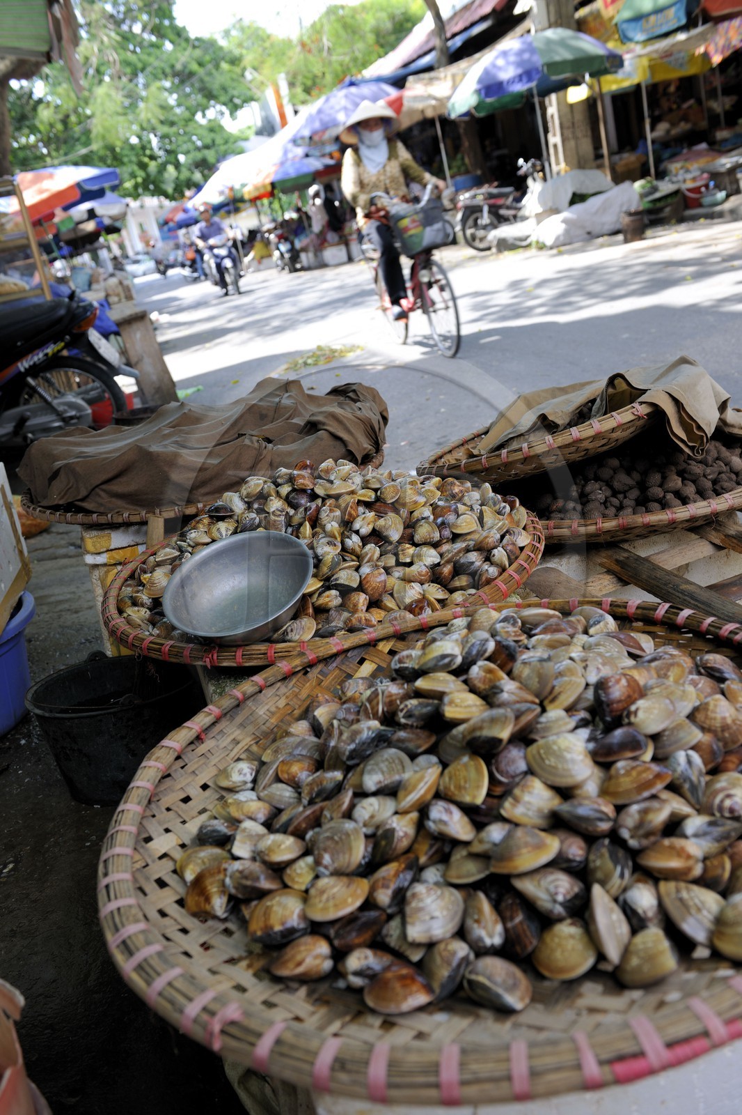 Vietnam, Haiphong, marché, vente de coquillages