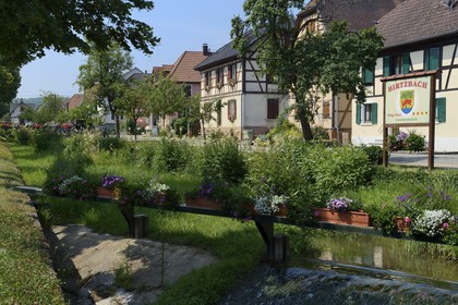 France, Haut Rhin, Sundgau, Hirtzbach, half-timbered house in the main street