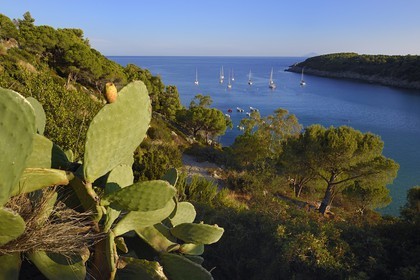 Italy, Tuscany, Elba Island, sailboat at anchor in the bay of Fetovaia on the South coast