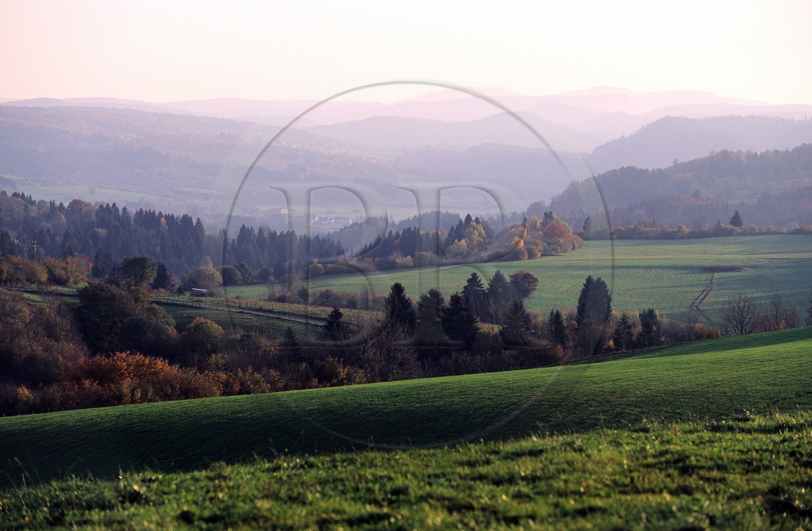 France, Jura (39), paysage près de la source de l'Ain