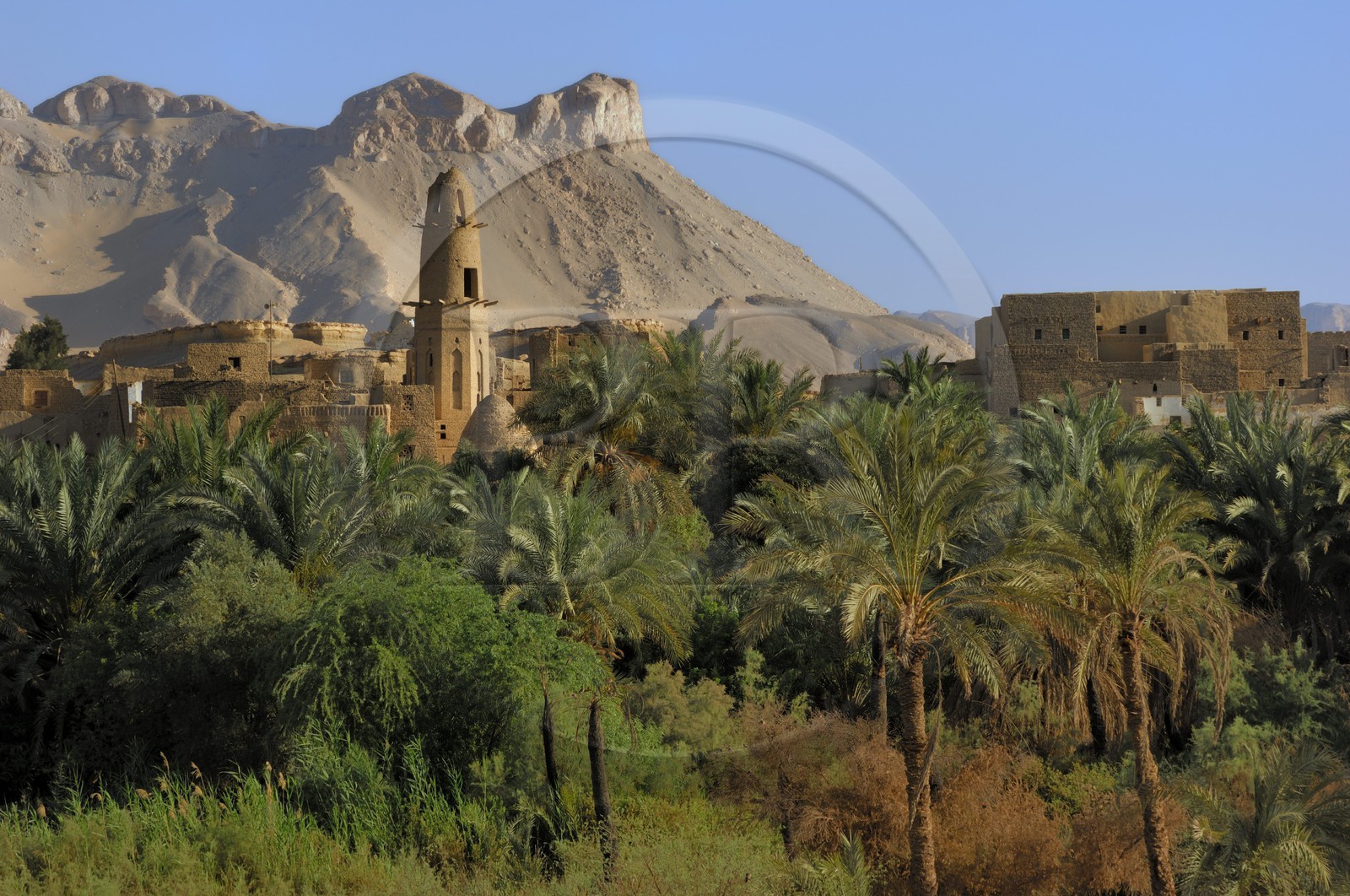 Egypte, Haute Egypte, désert libyque, oasis de Dakhla, vieux village de Al-Qasr, la mosquée de Nasr el-Din