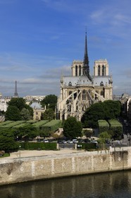 France, Paris (75), les rives de la Seine classées Patrimoine Mondial de l'UNESCO, île de la Cité, la cathédrale Notre-Dame