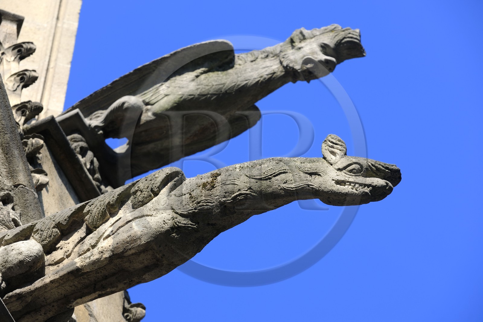 France, Paris (75), Eglise Saint-Séverin