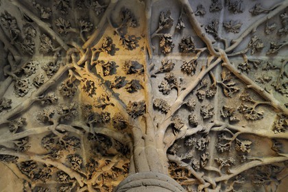 France, Paris, the Jean-sans-Peur tower was part of the Hôtel de Bourgogne (palace of the Dukes of Burgundy), built in the 15th century on the Philippe Auguste's surrounding wall, the plant decoration of the spiral staircase'vault