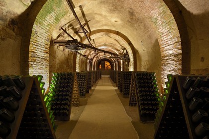 France, Marne, Reims, champagne, Pommery's wine cellars