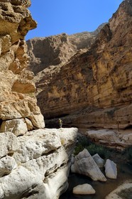 Sultanate of Oman, Ash Sharqiyah region, Bimmah, hiker in Wadi ash Shab