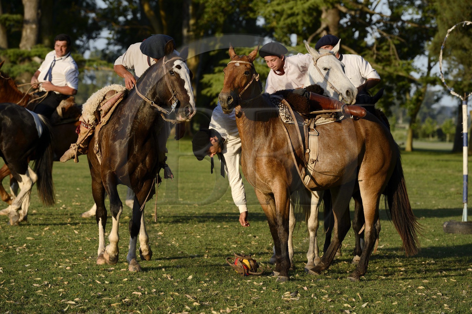 Argentine, province de Buenos Aires, San Antonio de Areco, estancia La Bamba de Areco, gauchos jouant au Pato (horse-ball) qui est un sport d’équipe équestre, mélange de rugby et de basket à cheval