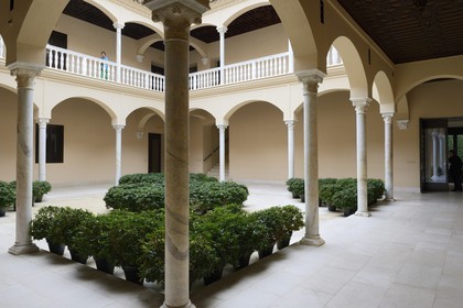 Spain, Andalusia, Malaga, Picasso Museum in the Buenavista Palace