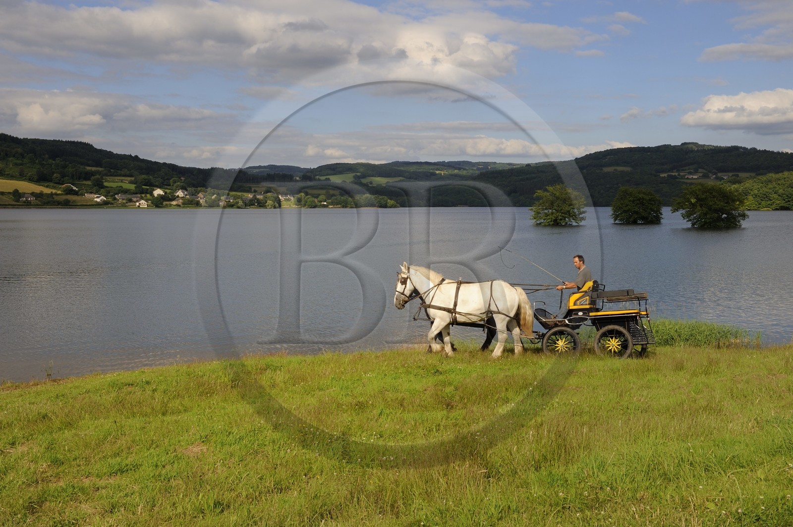 France, Nièvre (58), lac de Pannecière, Alain Perruchot agriculteur et éleveur de chevaux au commande de son attelage