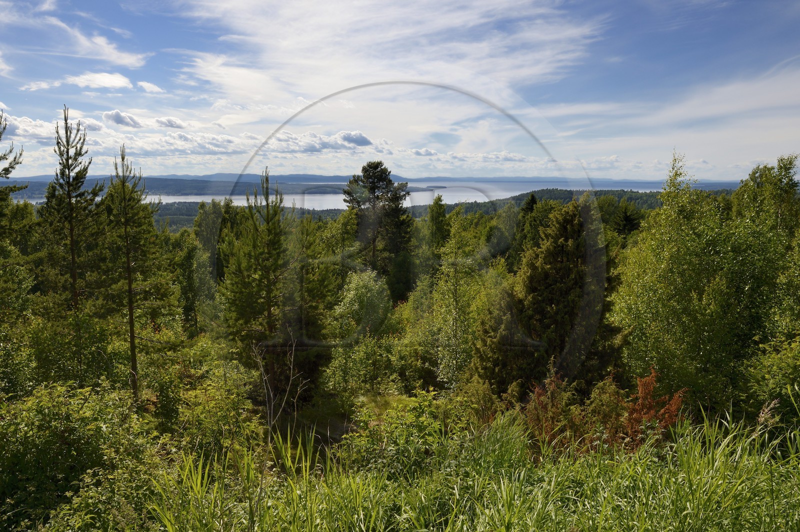 Suède, comté de Dalécarlie, région de Leksand, Tällberg sur la rive du lac Siljan