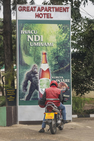 Rwanda, Kigali, publicité pour la bière Virunga fabriquée au Rwanda mettant en scène un gorille