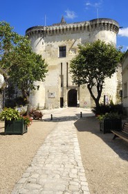 France, Indre et Loire, Loches, the castle Royal gate