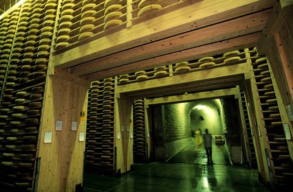 France, Doubs, Fort Saint Antoine, Comte mountain cheese maturing cellar