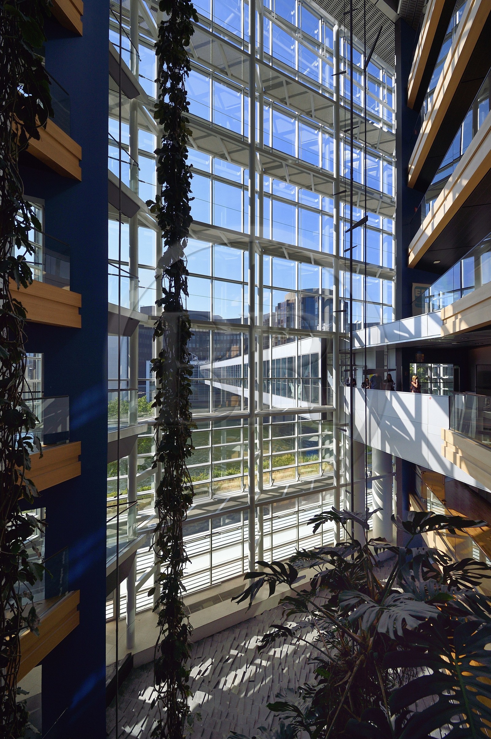 France, Bas-Rhin (67), Strasbourg, quartier européen, le Parlement européen, batiment Winston Churchill relié au batiment Louise-Weiss par une passerelle dans le prolongement de la grande rue