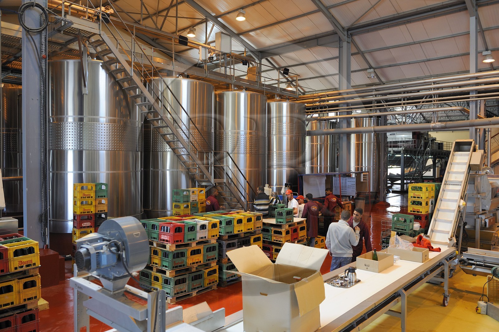 Maroc, région de Meknès, Boufakrane, Les Celliers de Meknès, les cuves Maroc, région de Meknès, Boufakrane, Les Celliers de Meknès, les cuves