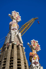 Spain, Catalonia, Barcelona, Eixample district, Sagrada Familia basilica by Catalan modernist architect Antoni Gaudi, listed as a UNESCO World Heritage Site, Venetian mosaic pinnacle of the Towers of the Apostles