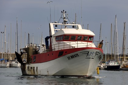 France, Herault, Sete, Vieux Port (Old harbour), fishing return of a trawler