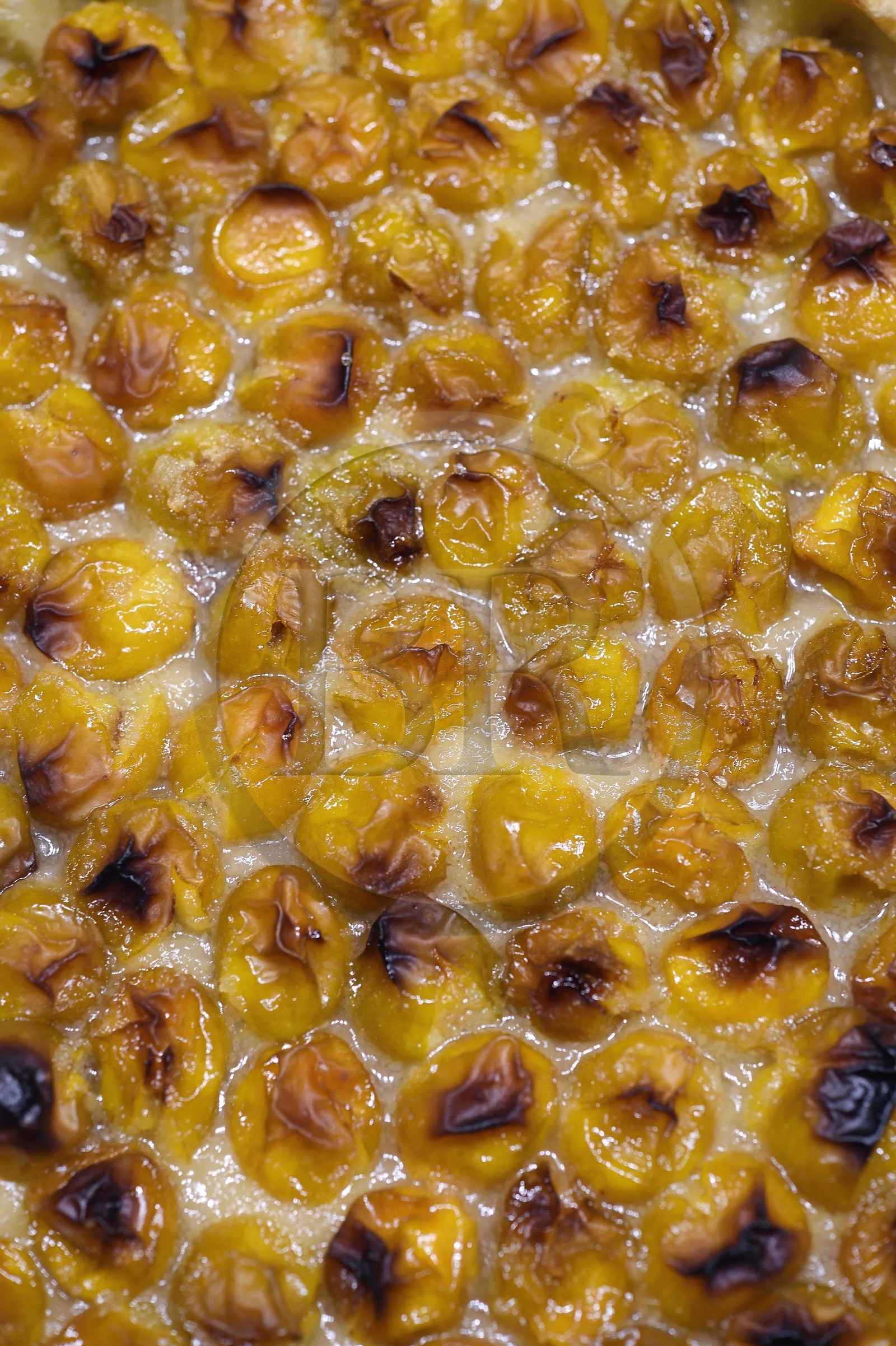 France, tarte aux mirabelles faite maison