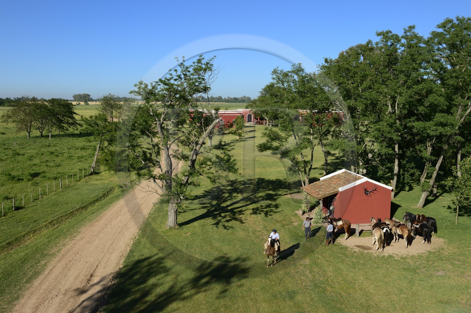 Argentine, province de Buenos Aires, San Antonio de Areco, estancia La Bamba de Areco, gauchos se préparant au départ