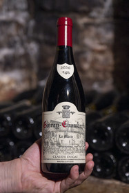 France, Cote d'Or, cultural Landscape of the climates of Burgundy listed as World Heritage by UNESCO, Route des Grands Crus (road of Vintage Wines), vineyard of the Côte de Nuits, Gevrey Chambertin, bottle of Domaine Dugat wine