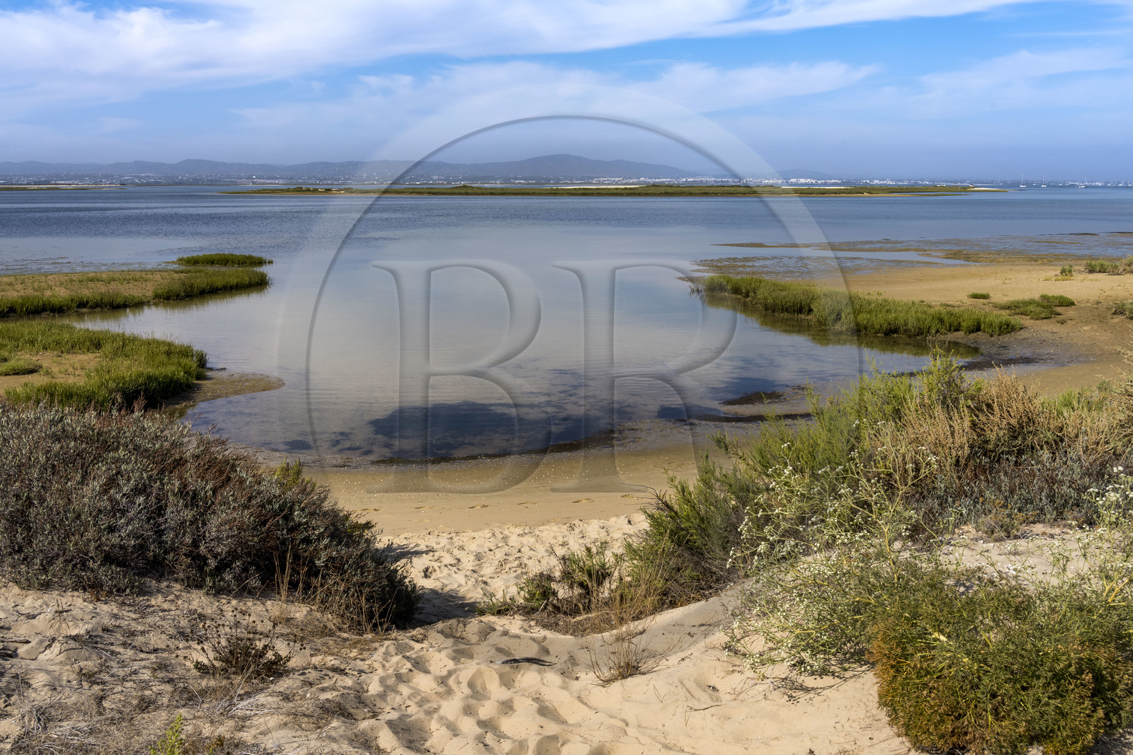 Portugal, Algarve, Parc naturel de la Ria Formosa, Faro, Ile de Barreta ou Deserta (Ilha da Barretta ou Deserta)