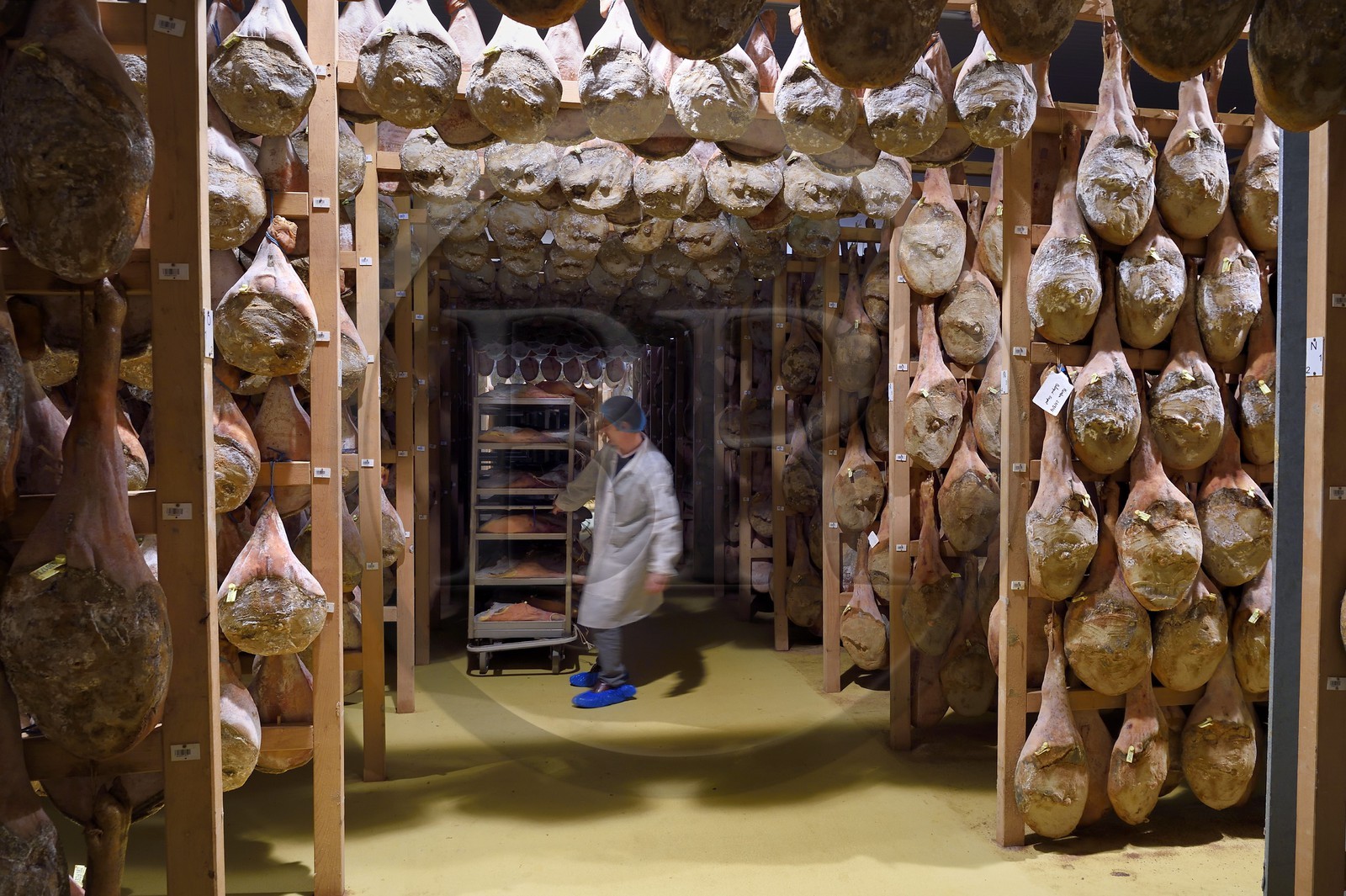 France, Pyrénées-Atlantiques (64), Pays-Basque, vallée des Aldudes, le Séchoir Collectif des Aldudes assure une prestation de séchage et l'affinage de jambons, zone de l'affinage