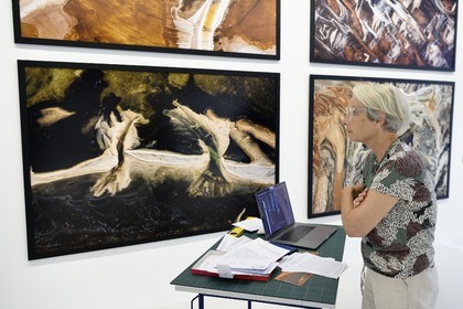 France, Var, the Rade (Roadstead) of Toulon, La Seyne-sur-Mer, district of Tamaris, the villa Tamaris, art center dedicated to the exhibition of contemporary art, Catherine Arthus-Bertrand curator of the Yann Arthus-Bertrand photography exhibition called Legacy