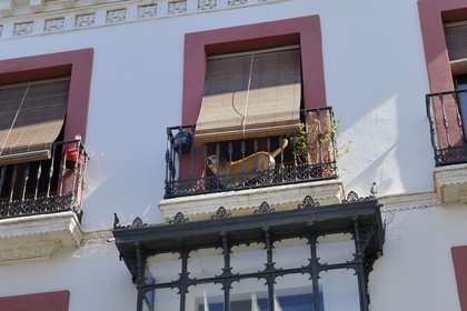 Spain, Andalusia, Seville, calle San Luis