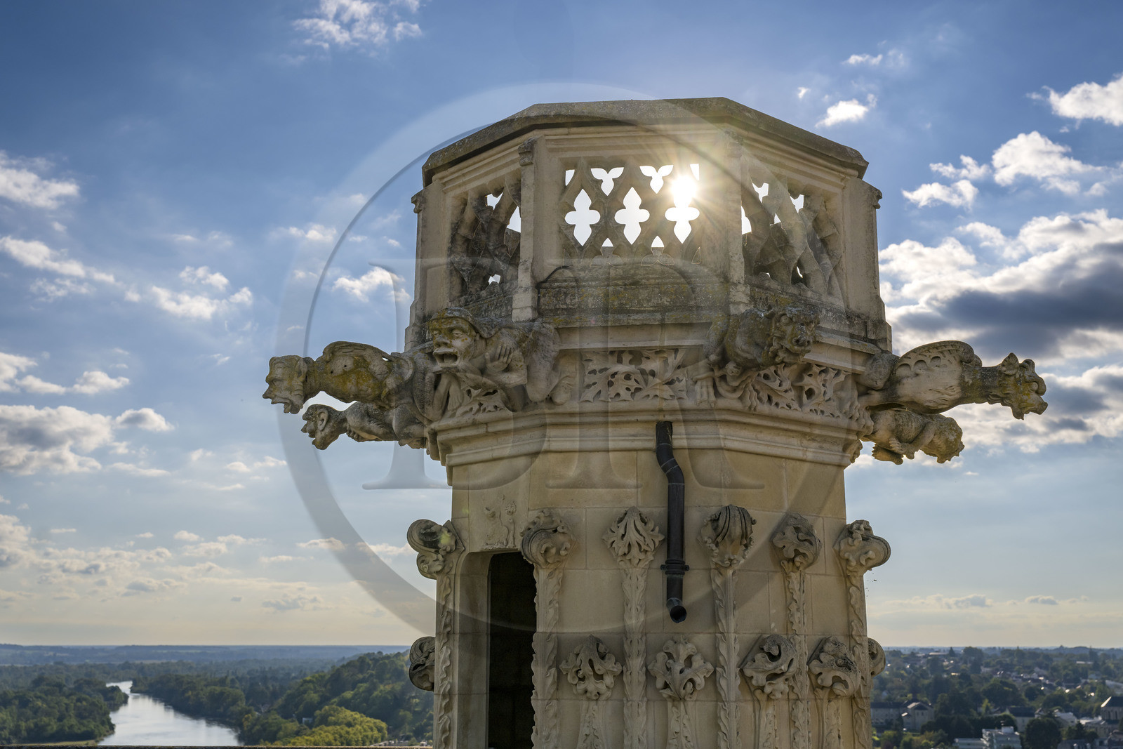 France, Nièvre (58), Nevers, cathédrale Saint-Cyr-et-Sainte-Julitte, gargouilles du XVIe siècle en haut de la tour Bohier et la Loire en arrière plan