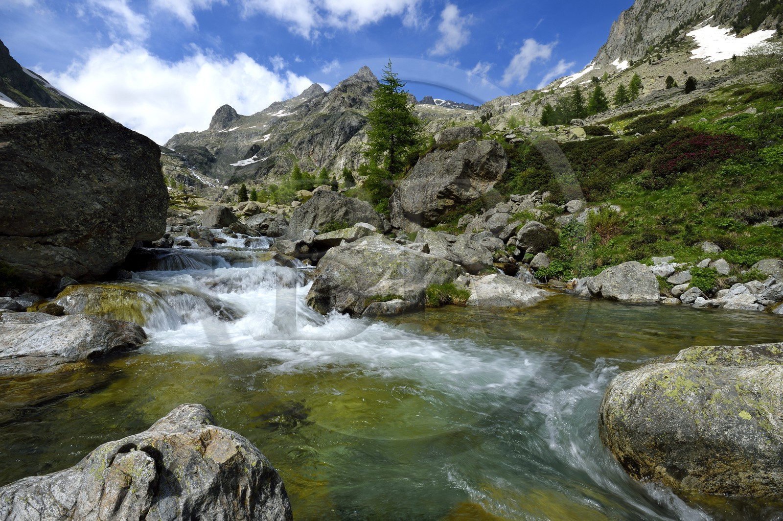 France, Alpes-Maritimes (06), parc national du Mercantour, Haute-Vésubie, vallon de la Gordolasque
