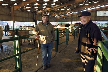 France, Seine-Maritime (76), Forges-les-eaux, marché couvert aux bestiaux