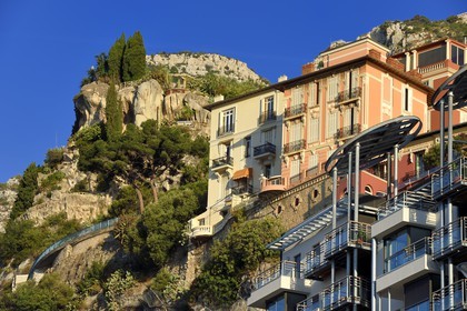 Principauté de Monaco, Monaco, quartier de La Condamine et le Jardin Exotique regroupant plusieurs milliers d'espèces de plantes succulentes