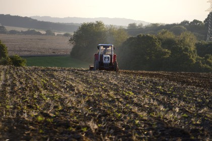 Germany, Saarland, Mosel region towards Sinz, the countryside at the crossroads of three borders Luxembourg, France and Germany, tractor in a field