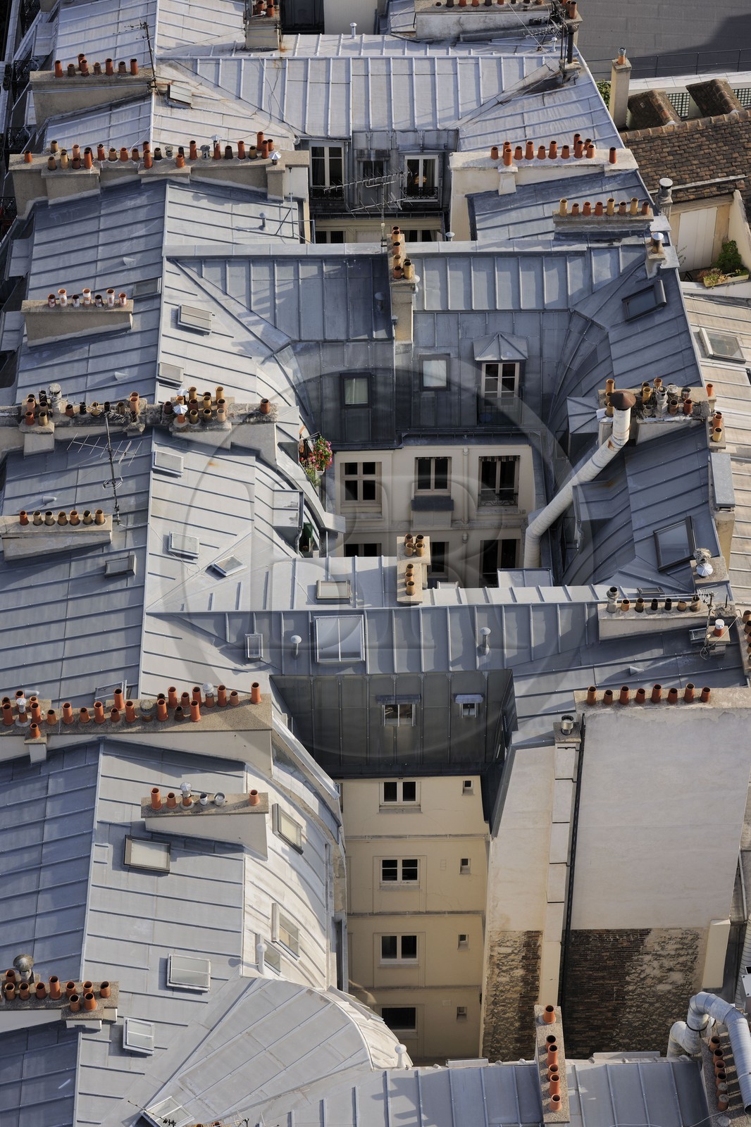 France, Paris (75), Ile de la Cité, toits en zinc d'immeubles haussmanniens
