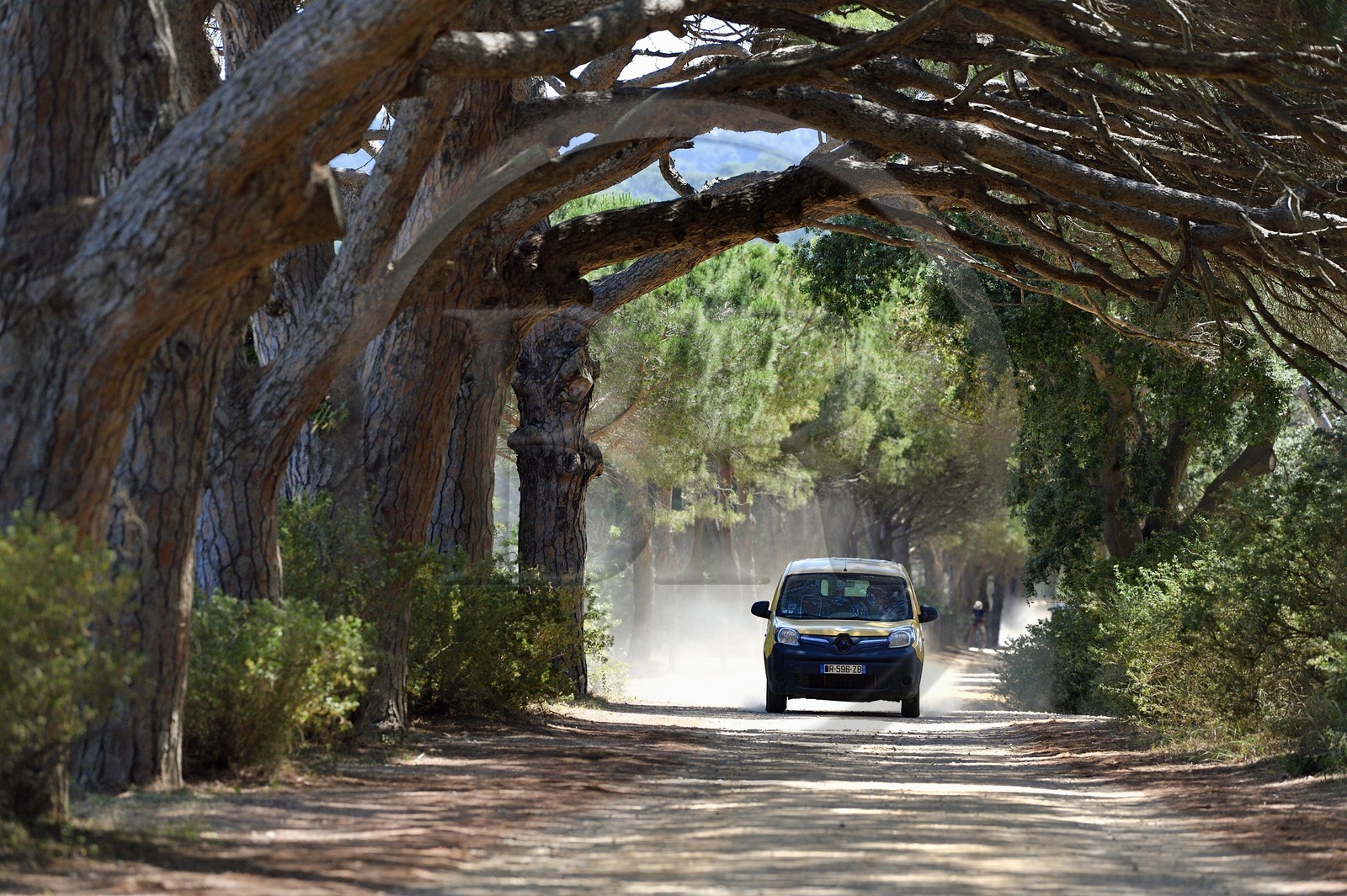 France, Var (83), Iles d'Hyères, parc national de Port Cros, Ile de Porquerolles, tournée de la factrice de La Poste Christine Frissong dans sa voiture électrique sur les pistes de l'Ile