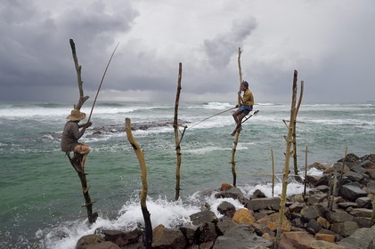 Sri Lanka, Province du Sud, région de Galle, Weligama, plage de Midigama, pecheurs sur poteaux