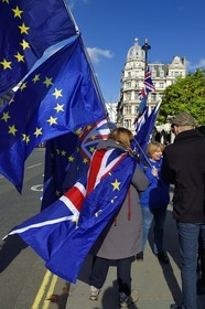 Royaume-Uni, Londres, Cité de Westminster, manifestation contre le Brexit devant le Parlement du Royaume-Uni, drapeau européen