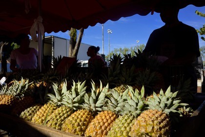 France, Reunion island (French overseas department), Saint Pierre, Saturday market, Victoria pineapple stalls