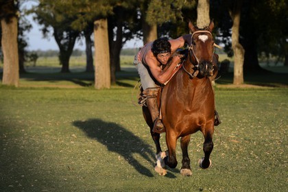 Argentine, province de Buenos Aires, San Antonio de Areco, estancia La Bamba de Areco, demonstration du savoir-faire d'un cavalier amerindien avec son cheval
